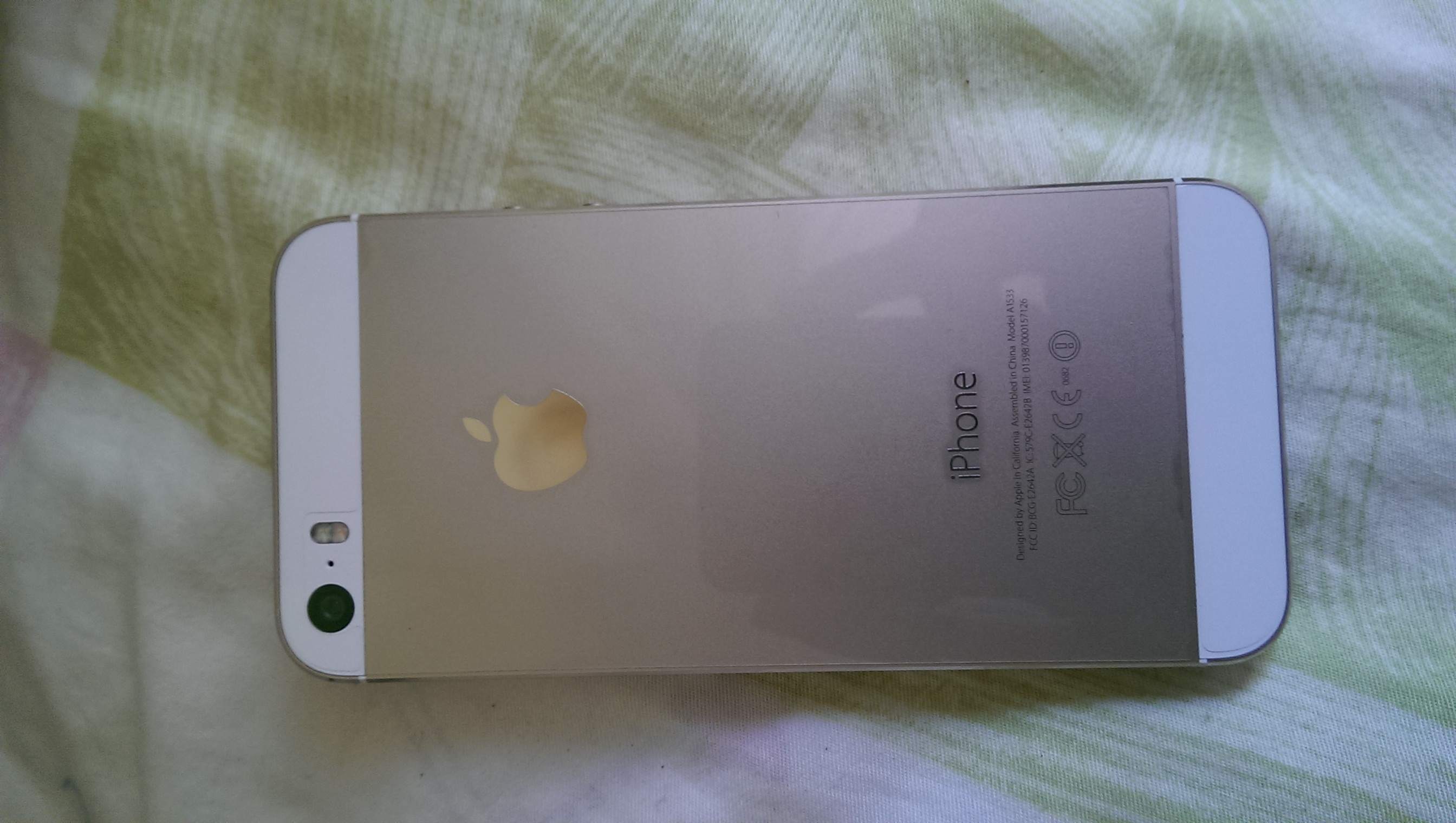IMAG0013.jpg
