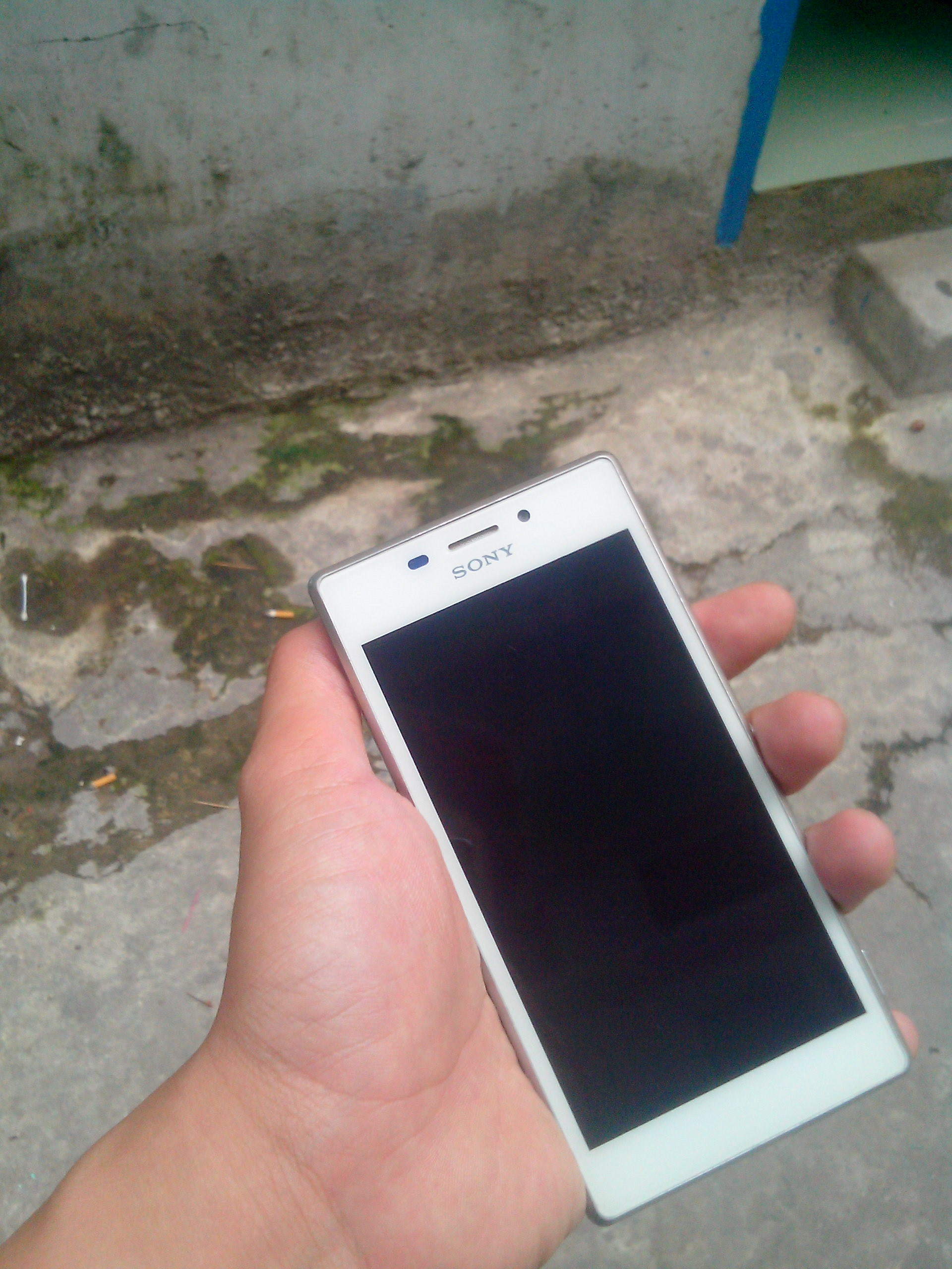 IMG20150602010.jpg