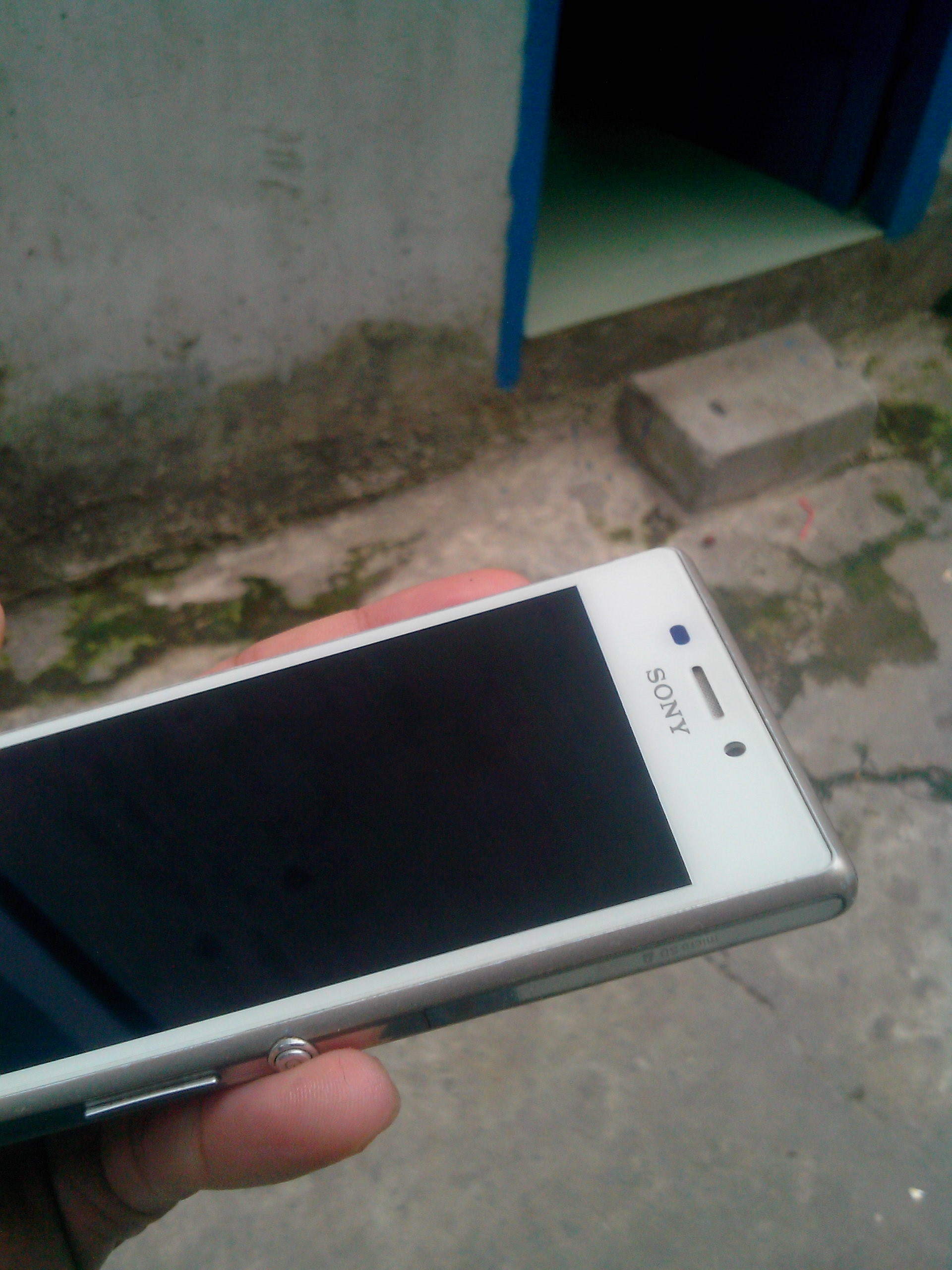 IMG20150602012.jpg