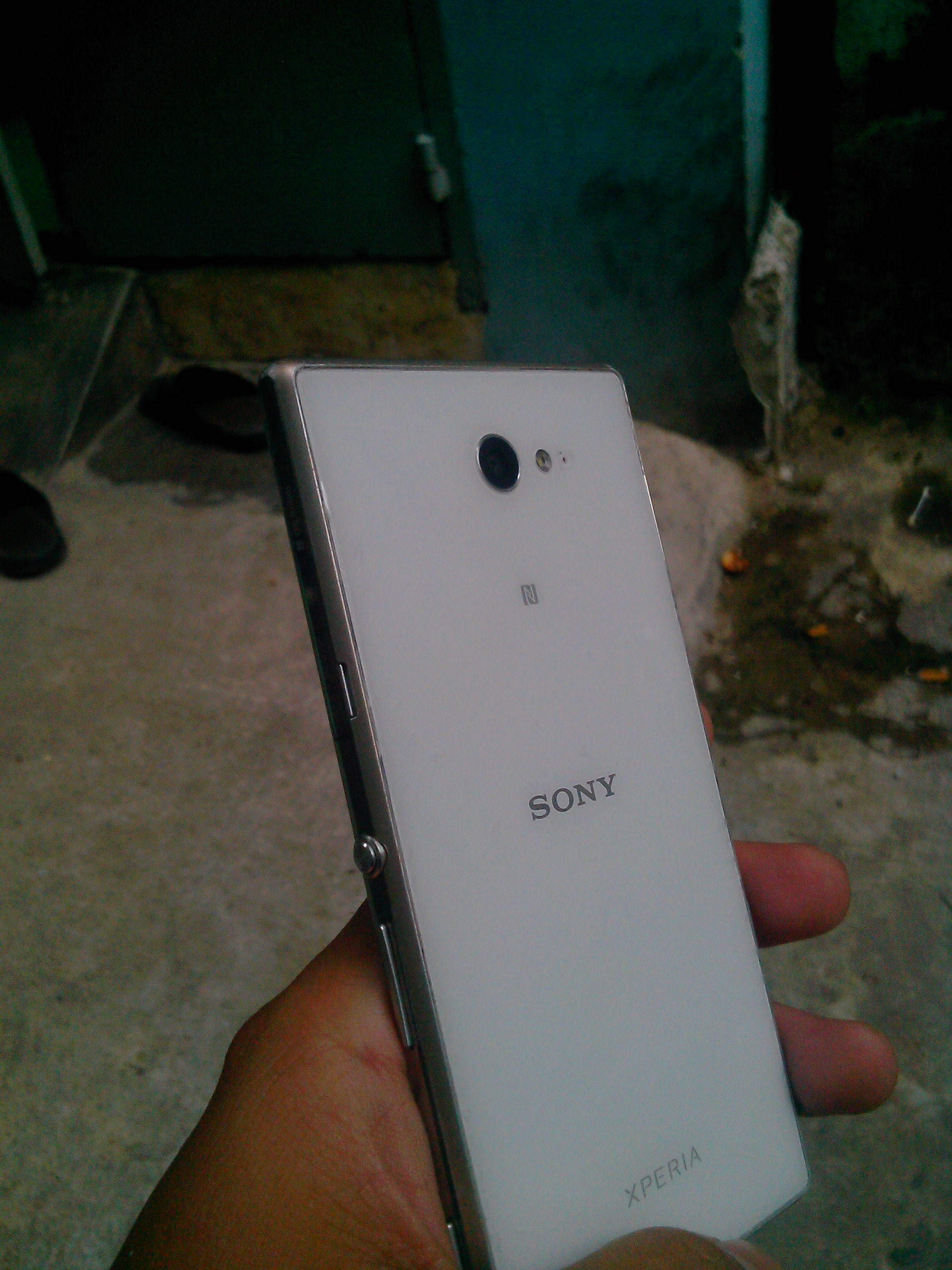 IMG20150602007.jpg