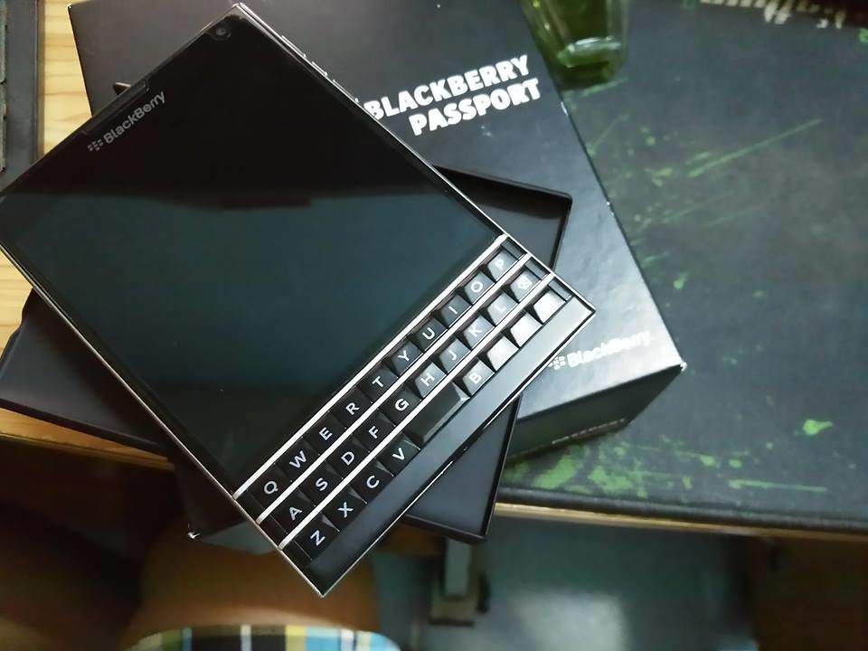 11303580_1751121265114461_2003052438_n.jpg