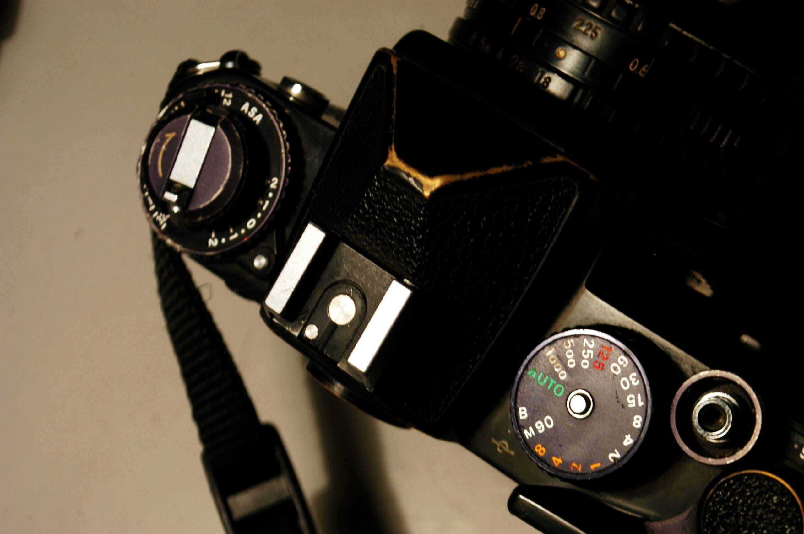 DSC_1200~01.jpg