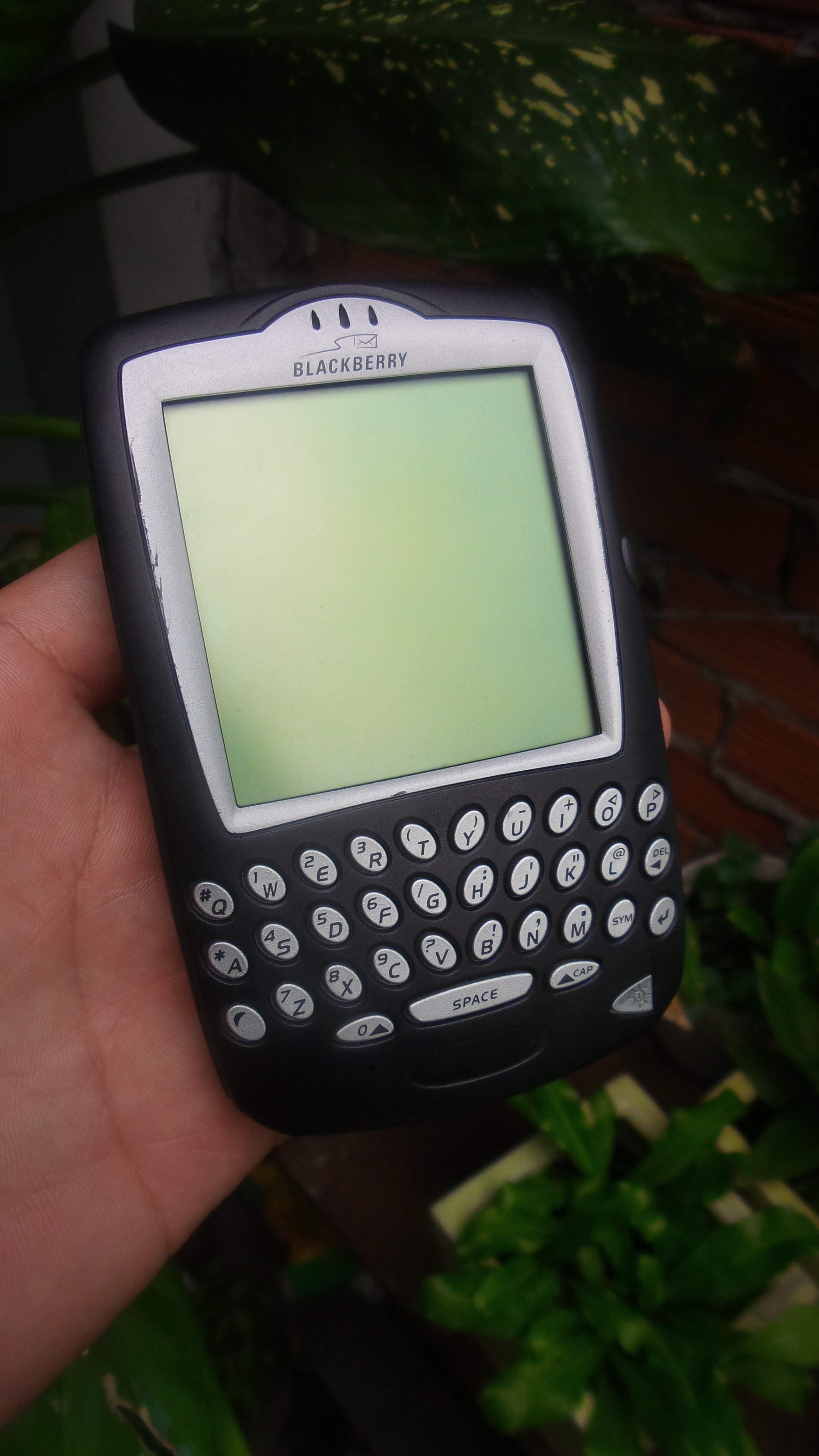 20150711_121536.jpg