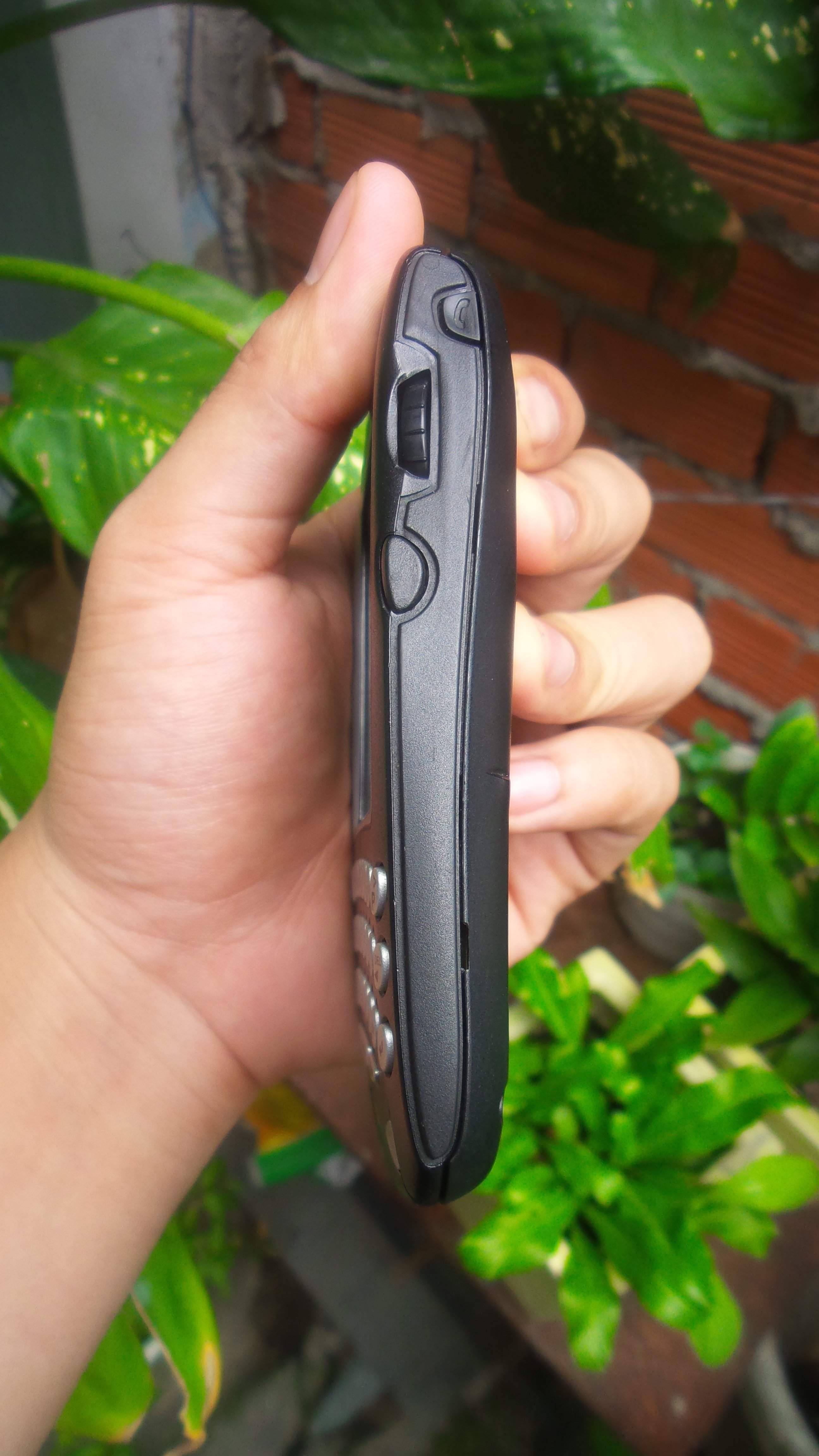 20150711_121553.jpg