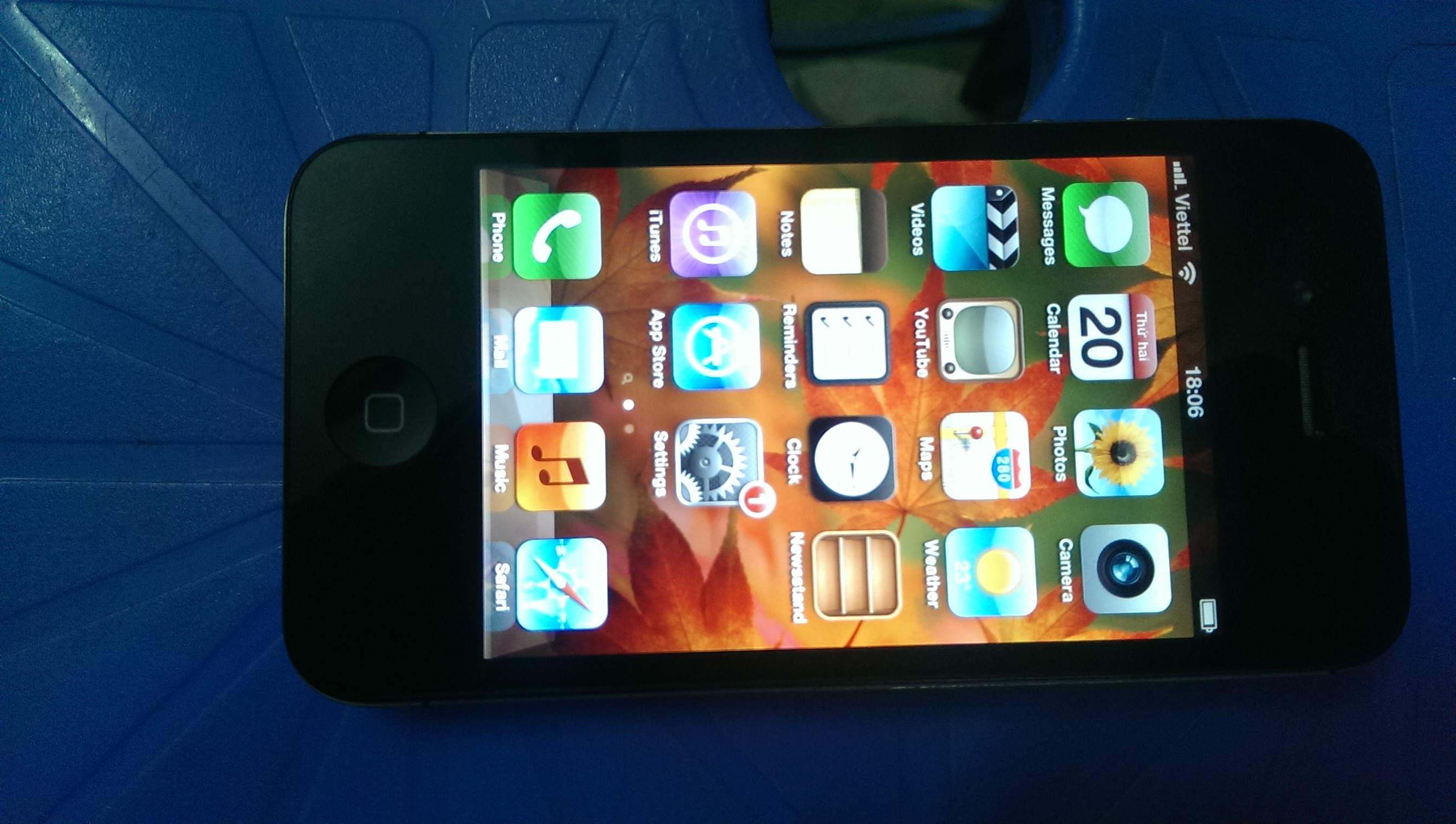 IMAG0955.jpg