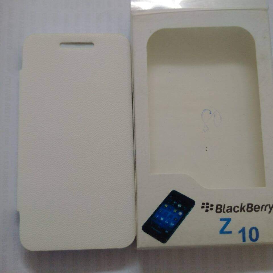 case z10..jpg