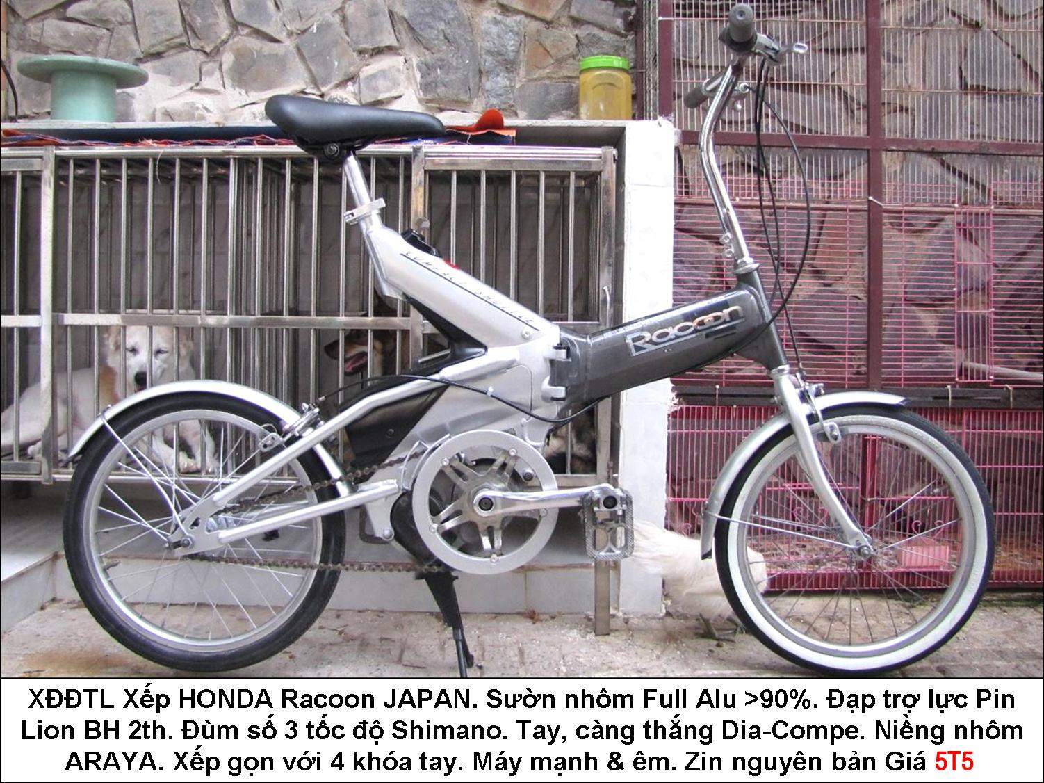 Top với hơn 42 về xe đạp điện honda racoon mới nhất  cdgdbentreeduvn