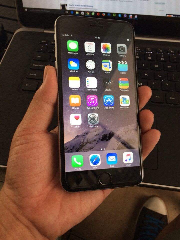 11231269_504715363017422_7780026865231268193_n.jpg