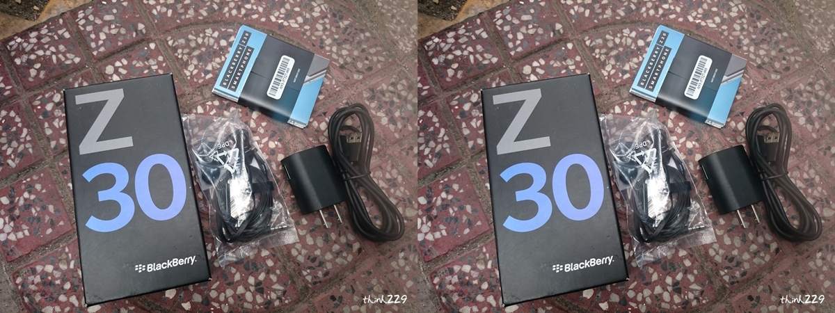 Z30 Telus -7-horz.jpg