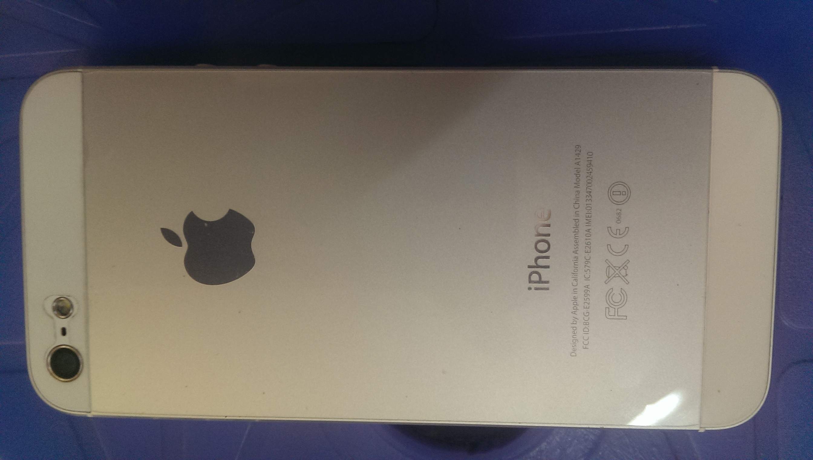 IMAG1519.jpg