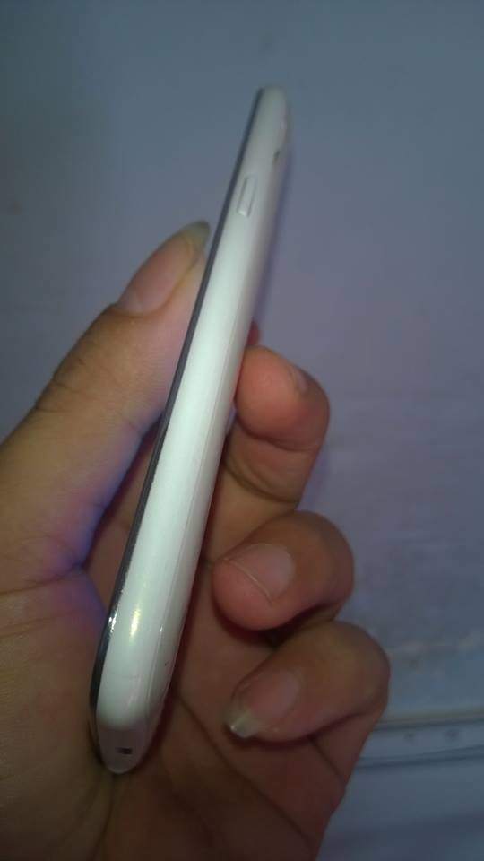 f7.jpg