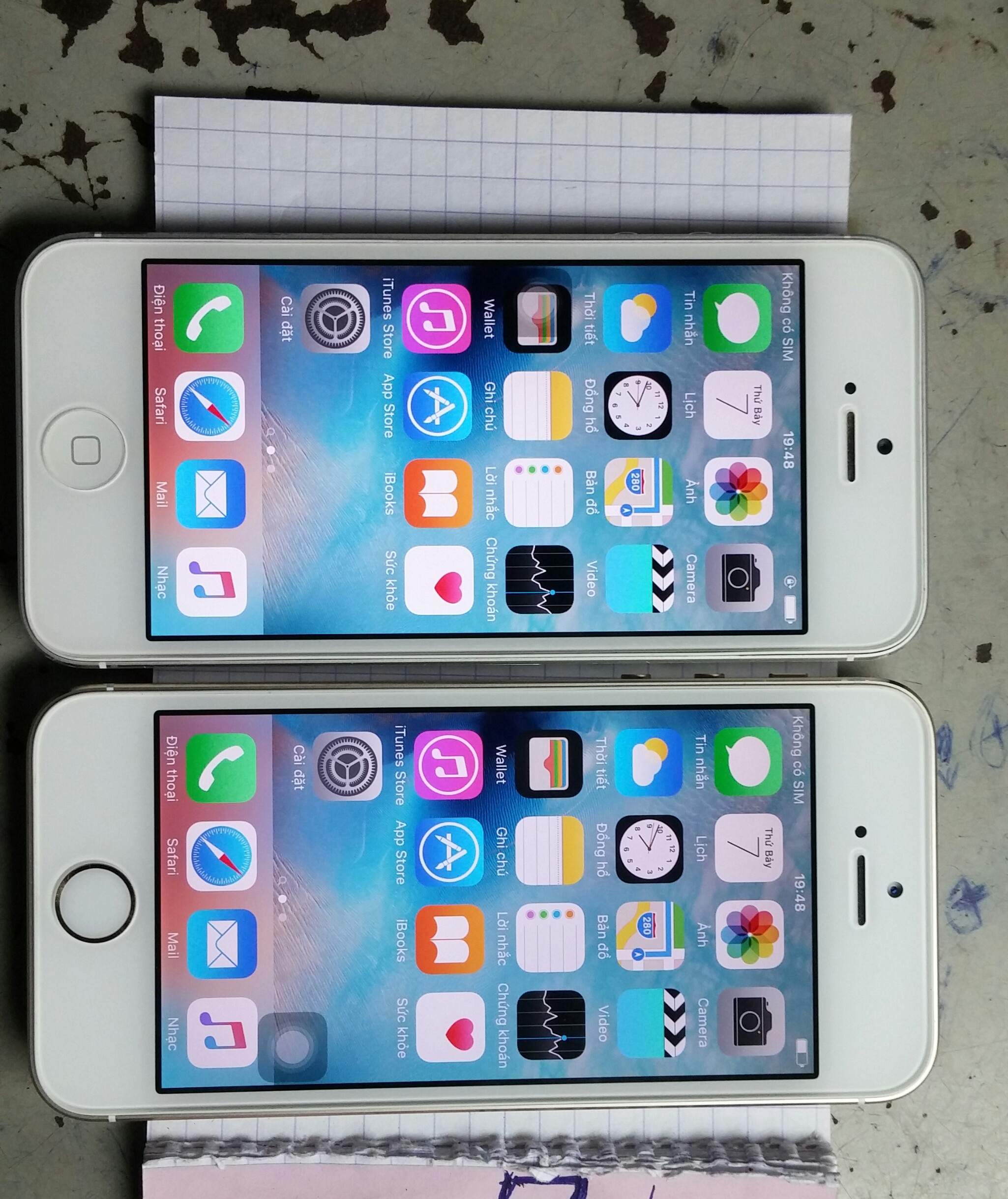 20151107_194846-1.jpg