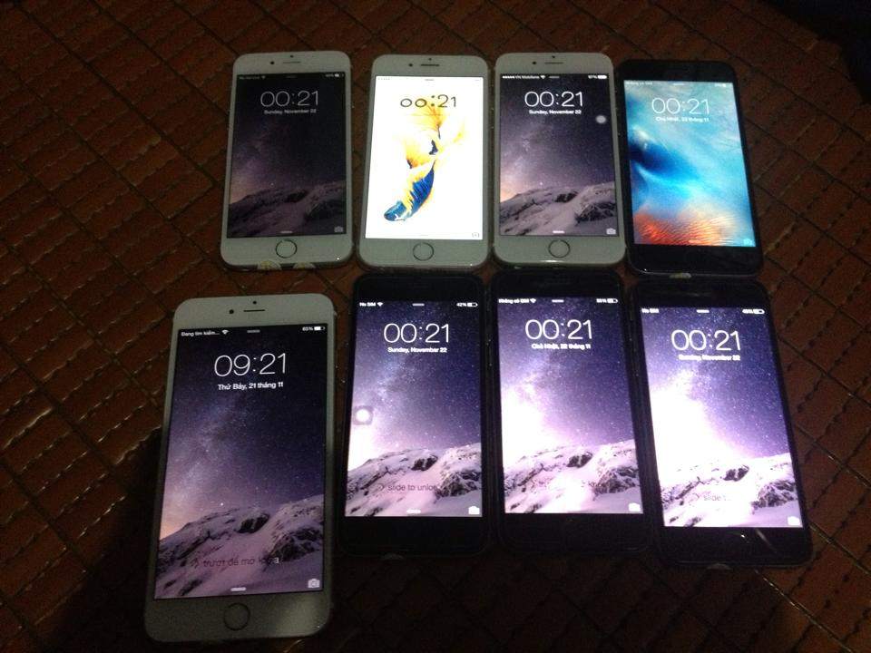 12239480_1520938348232279_330714930225333279_n.jpg