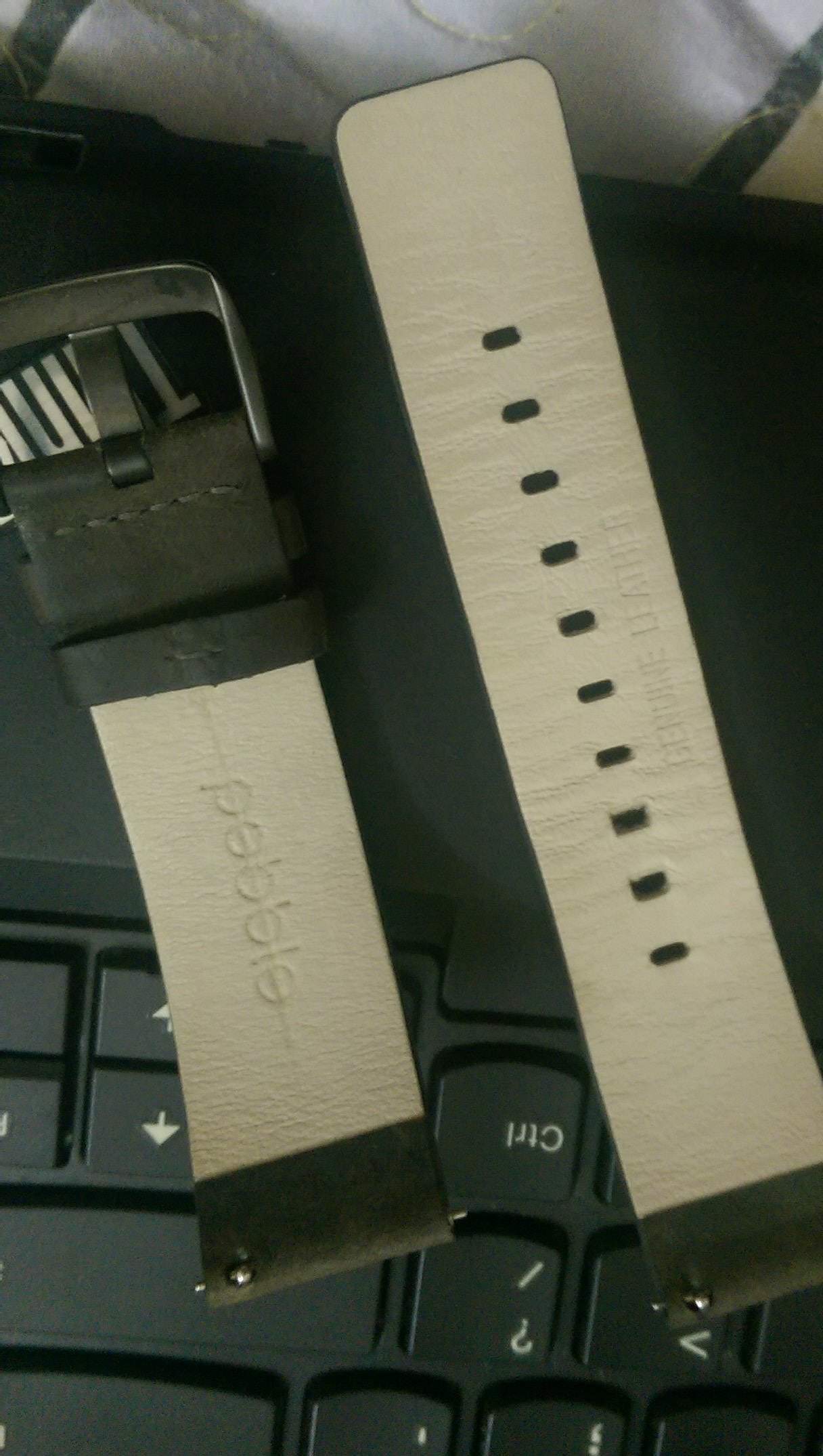 IMAG0025_1.jpg