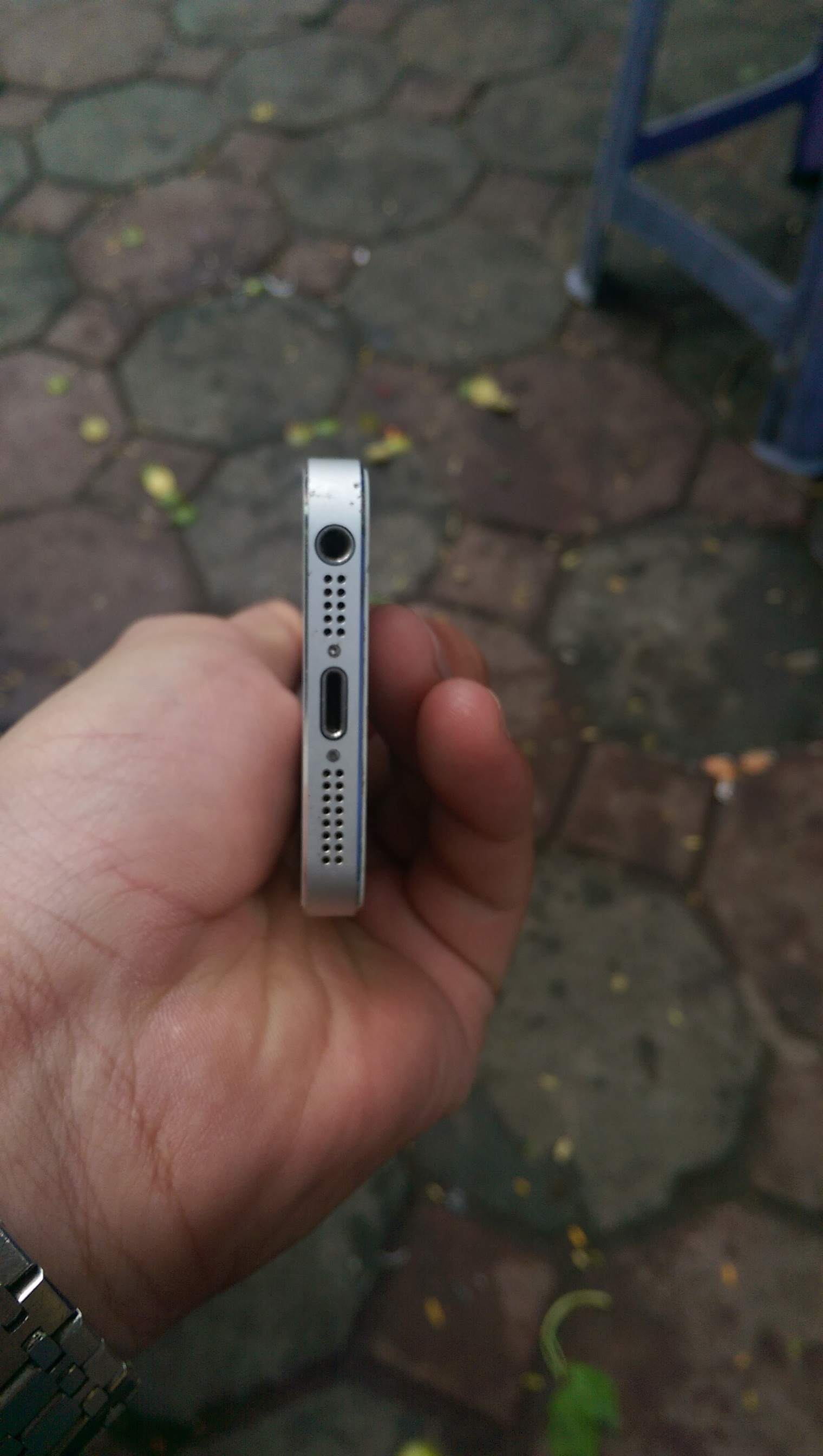 IMAG0008.jpg