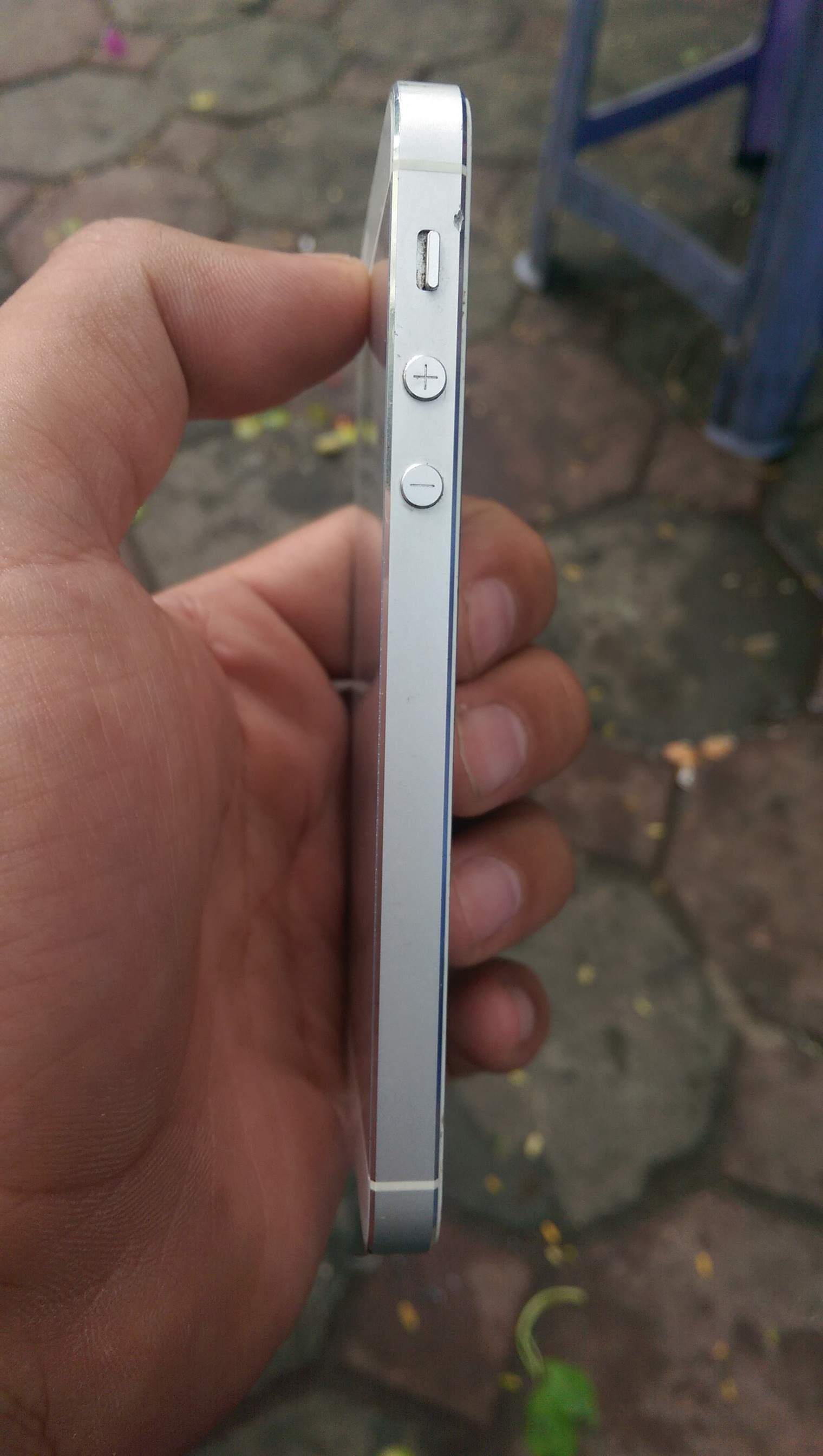 IMAG0005.jpg