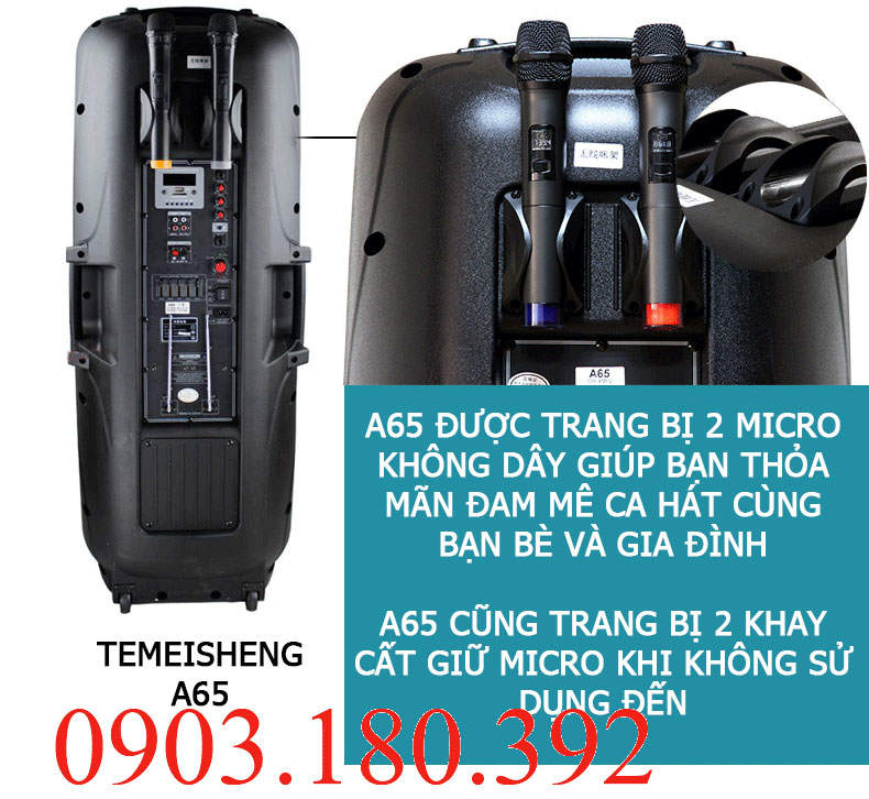 temeisheng_a65_2_bass.jpg