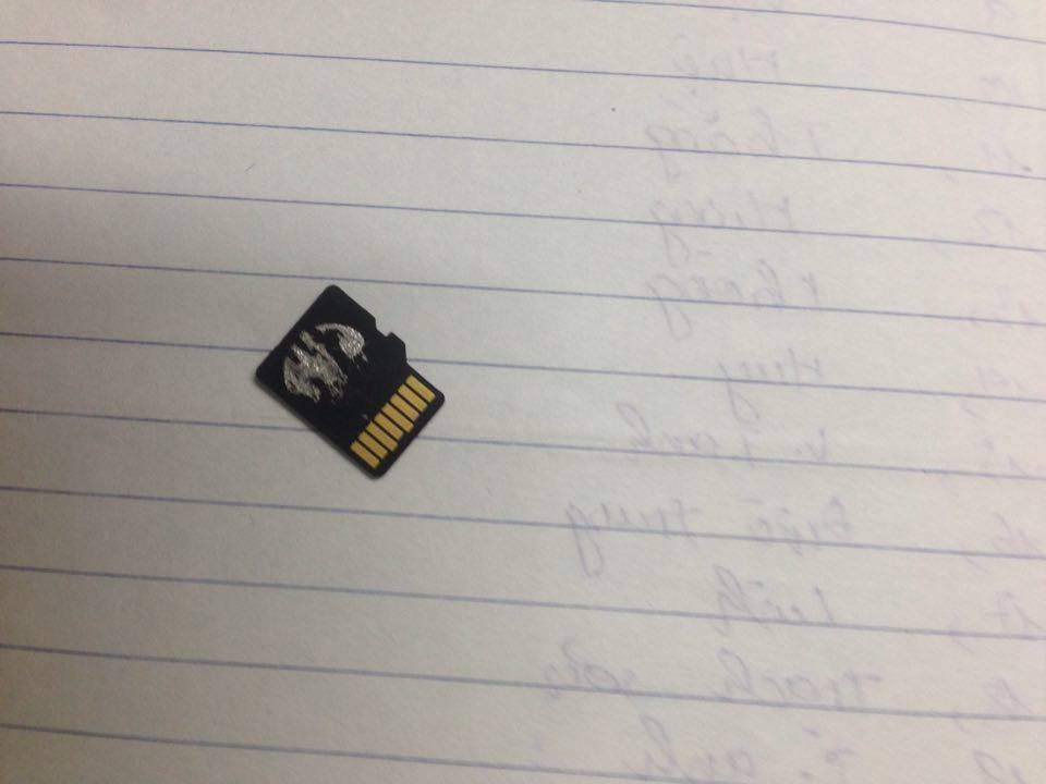 12336400_1676034055947847_1242785477_n.jpg