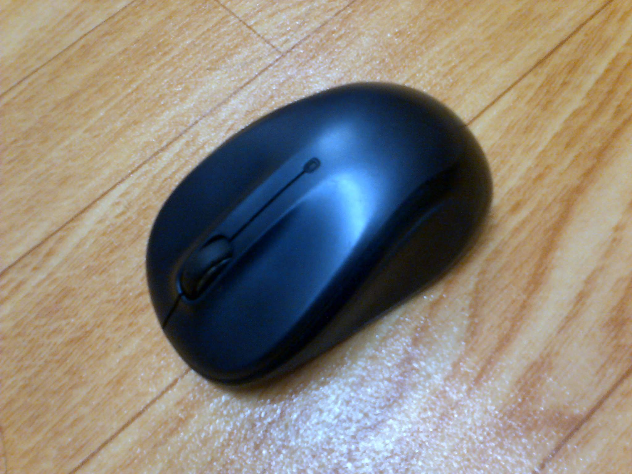 IMG-20151105-00261.jpg