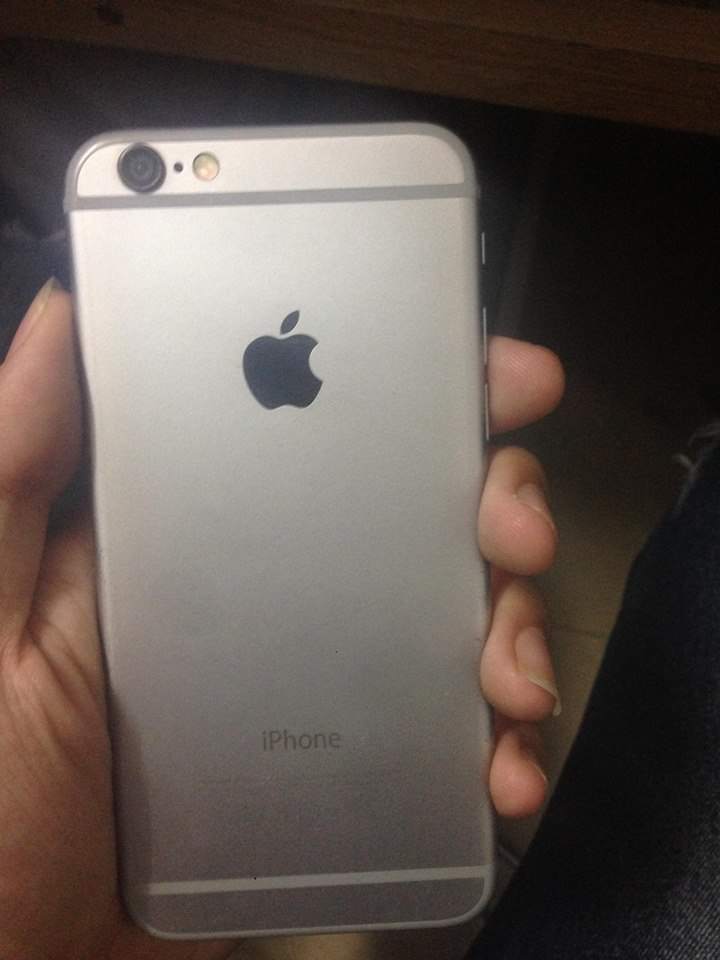 12358355_214461692218659_682330538_n.jpg