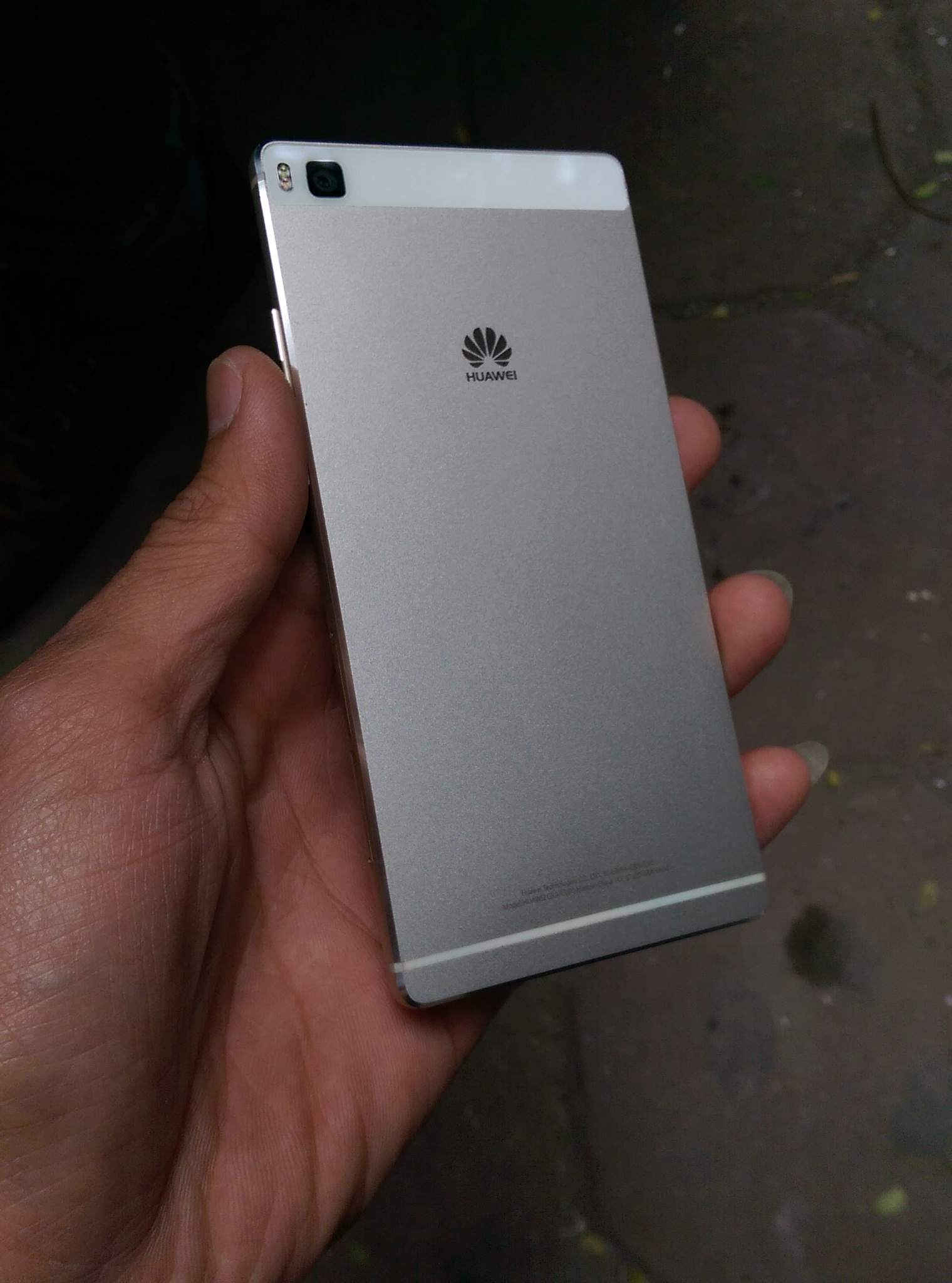 IMAG0481.jpg