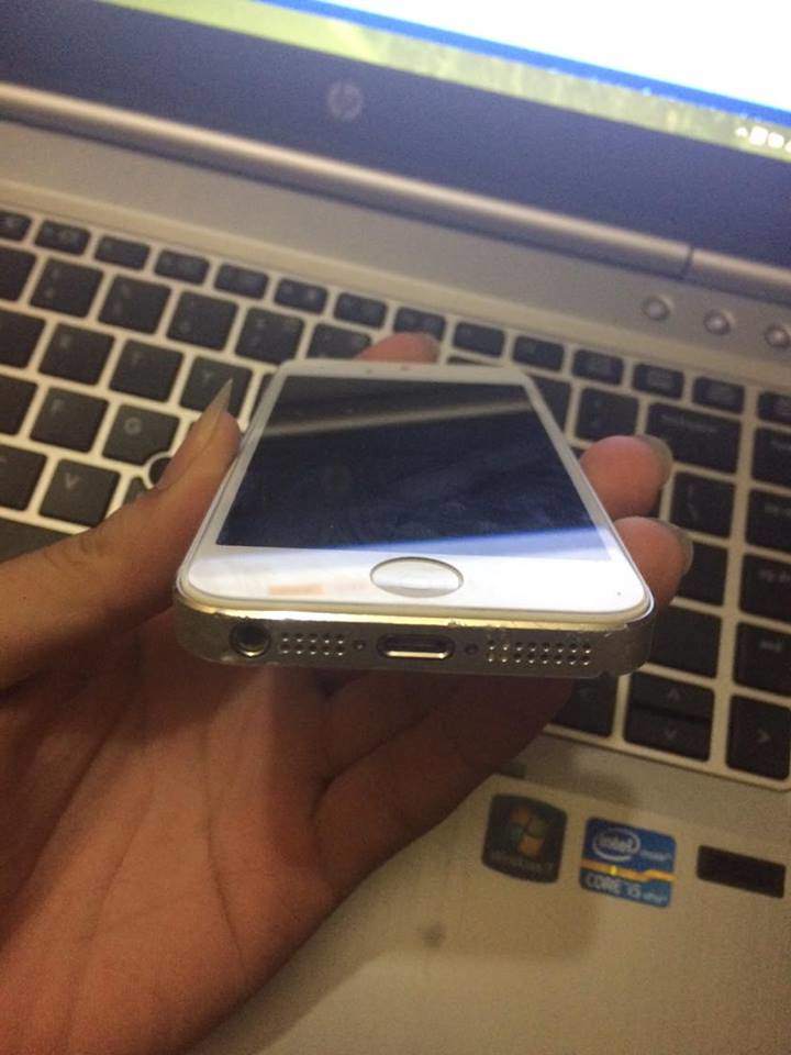 12367083_780818065397108_347592740_n.jpg