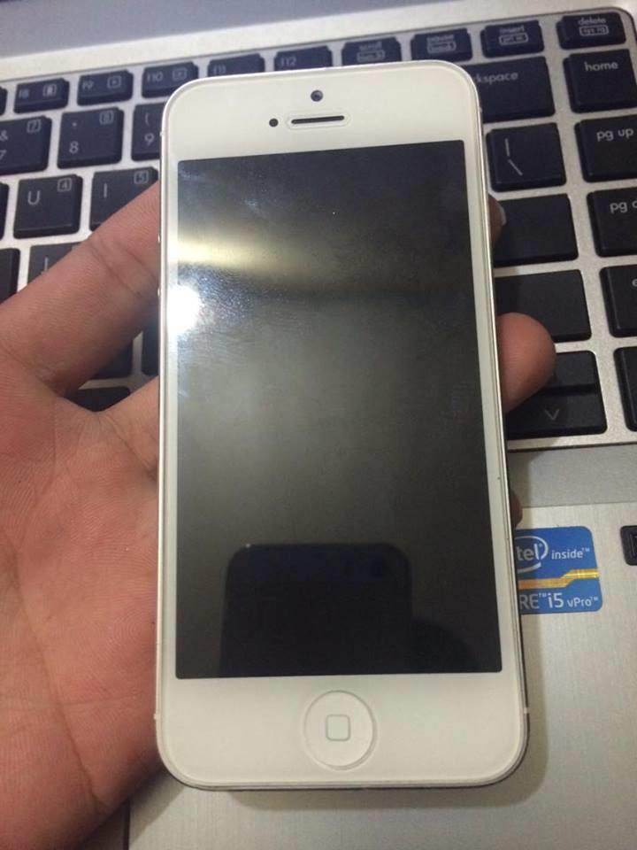 12386715_780818058730442_193420229_n.jpg