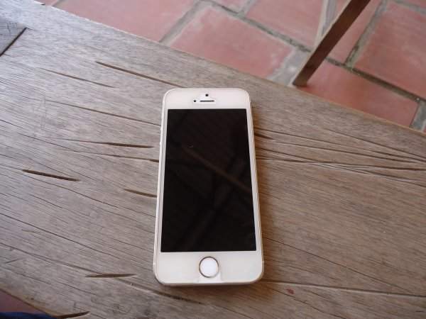 ip5s gold.jpg