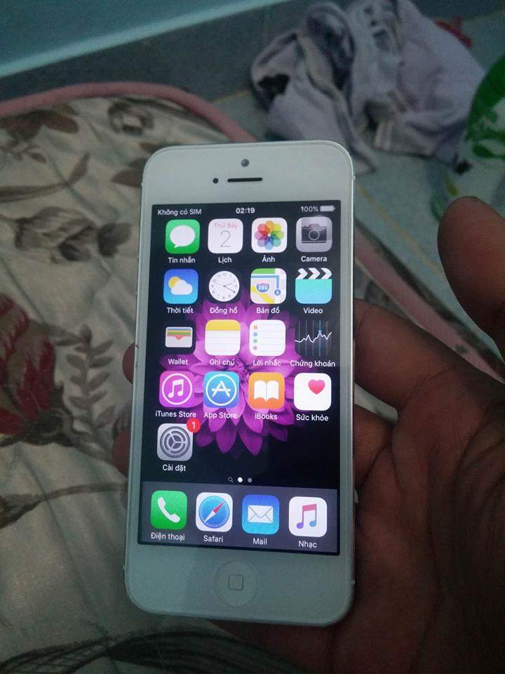ip4.jpg