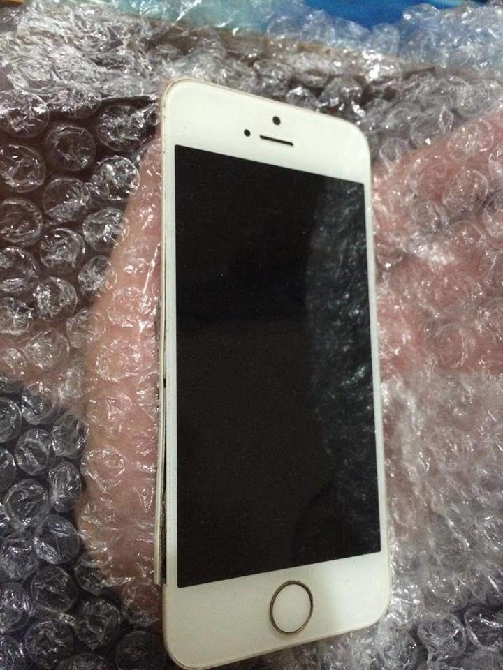 12395533_781800031948849_1890935617_n.jpg