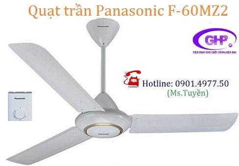quat tran f-60mz2 (panasonic).jpg