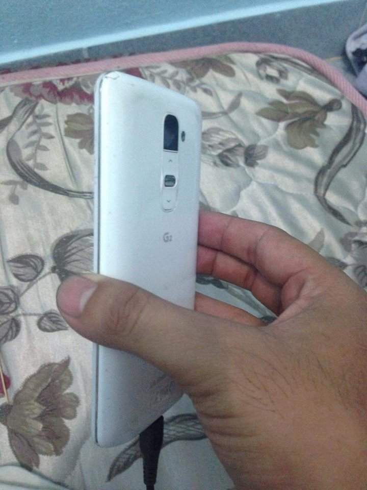 lg.jpg