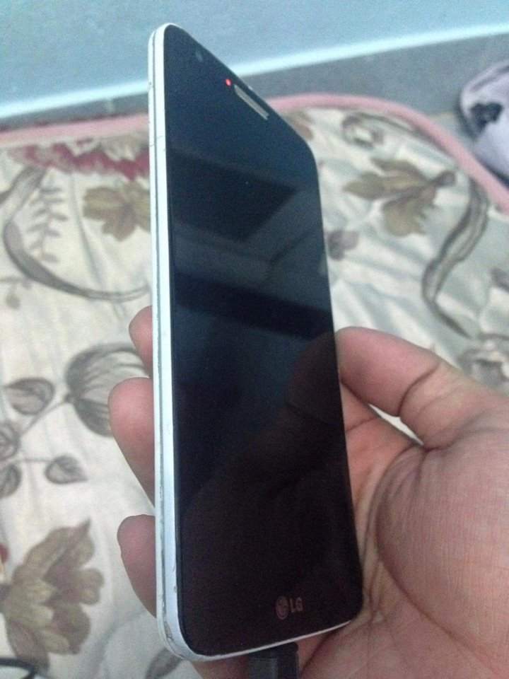 lg4.jpg