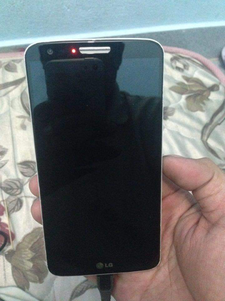 lg5.jpg