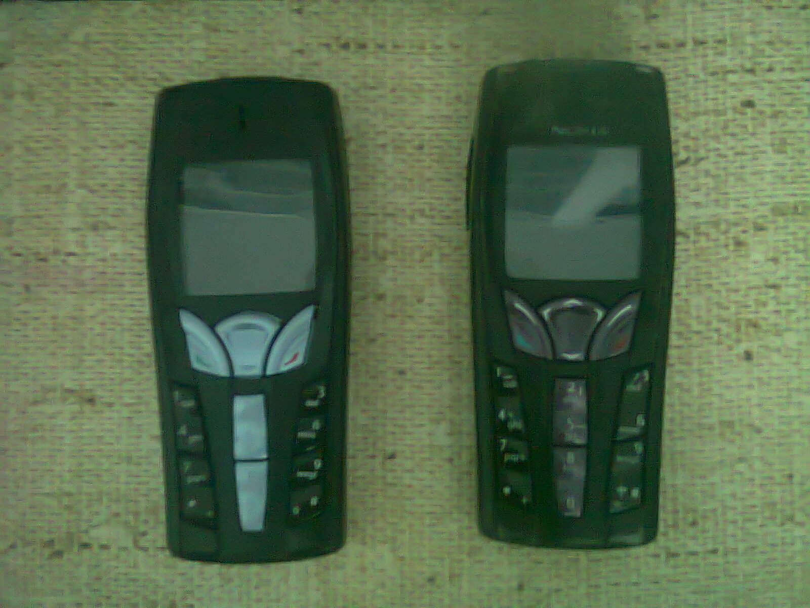 Hình5763.jpg