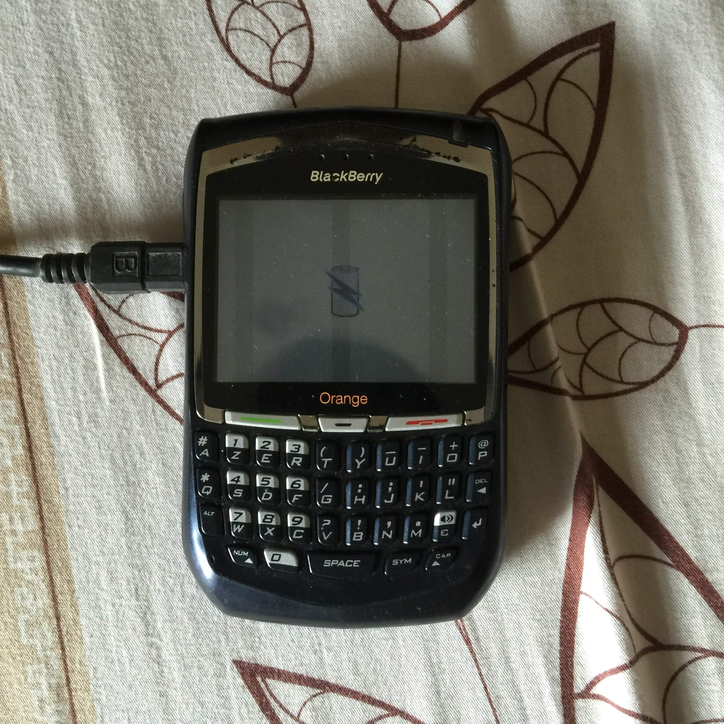 image.jpeg