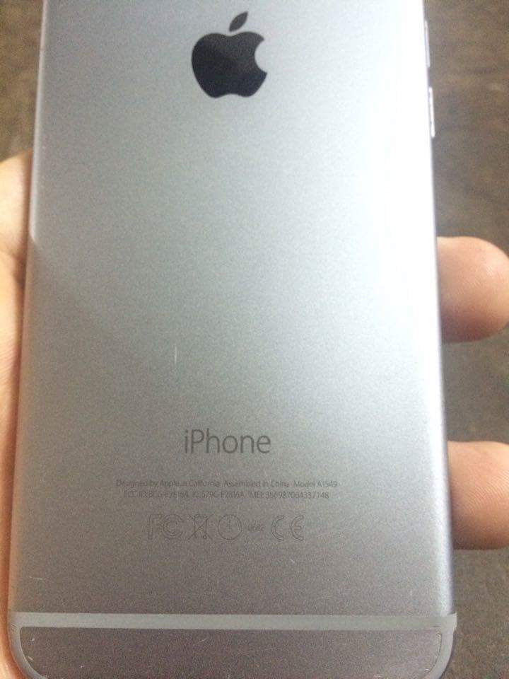 received_162241294134124.jpeg