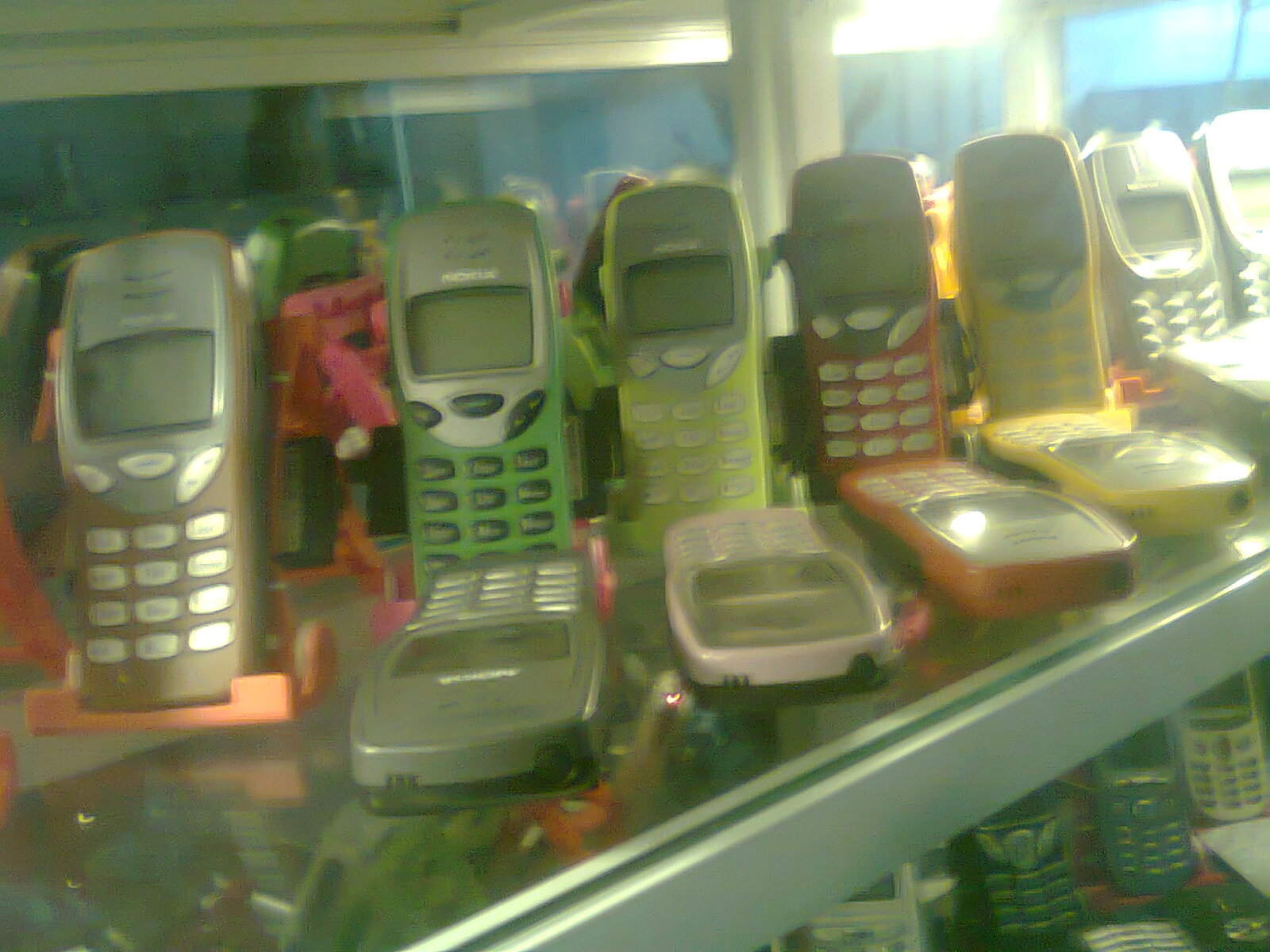 Hình5862.jpg