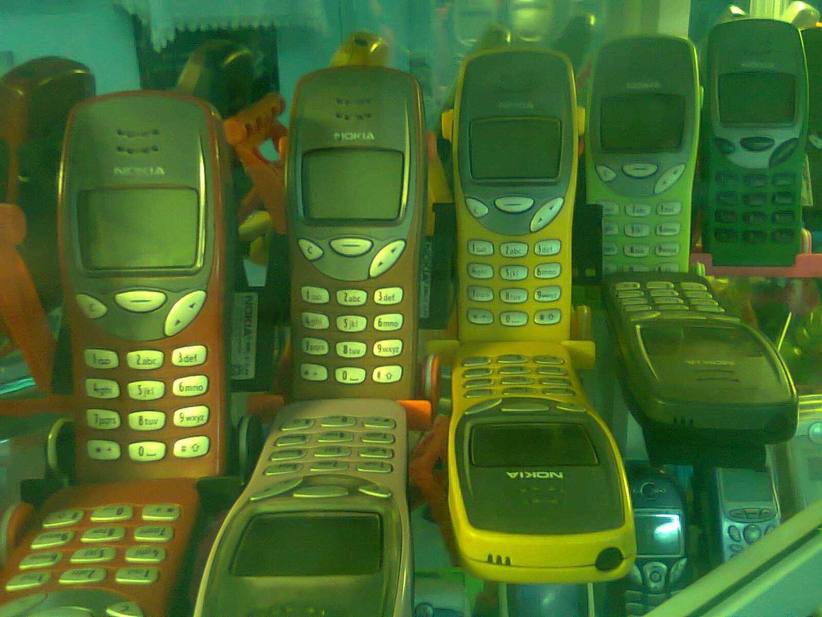 Hình5907.jpg