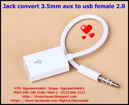 Jack 3.5mm aux to USB female.jpg