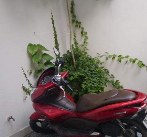 p3.JPG