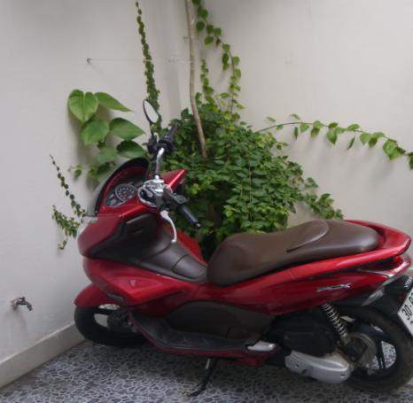 p1.JPG