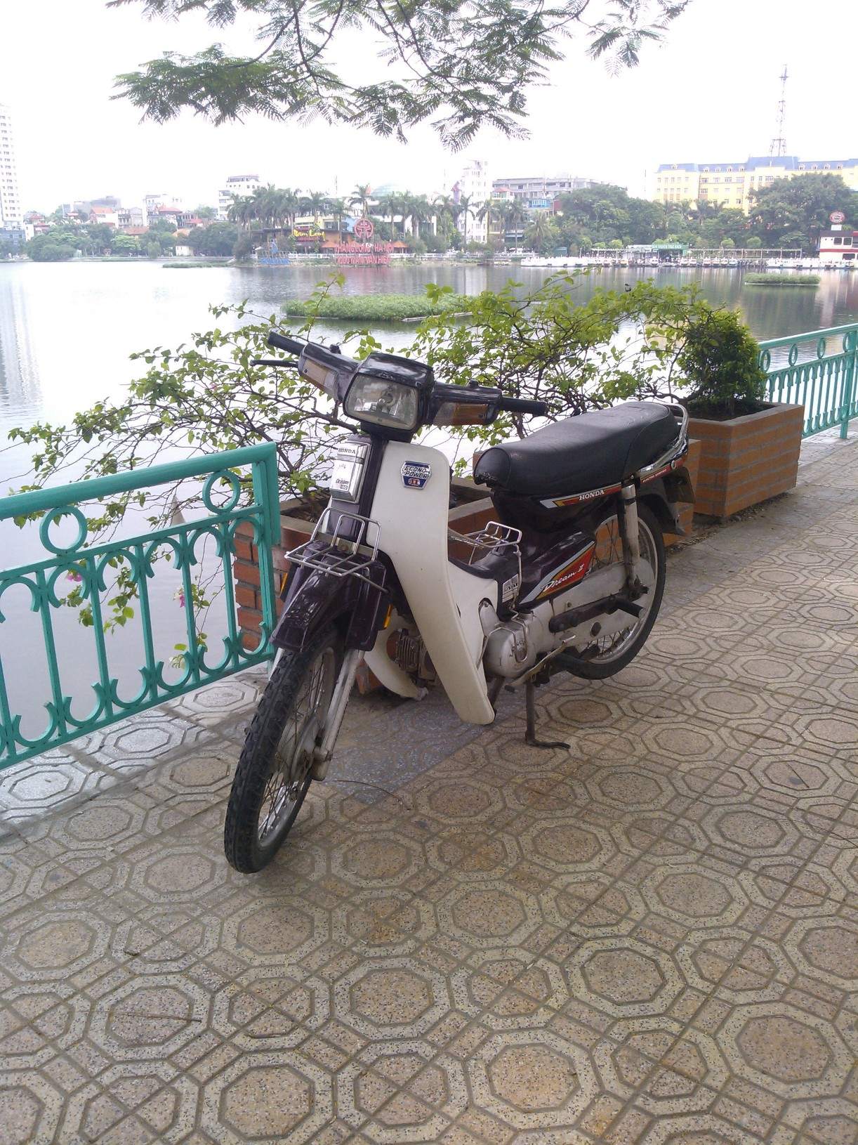 WP_000145.jpg