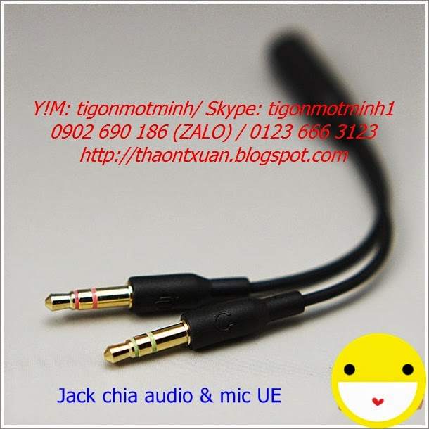 2. Jack chia mic & audio UE 10cm.jpg