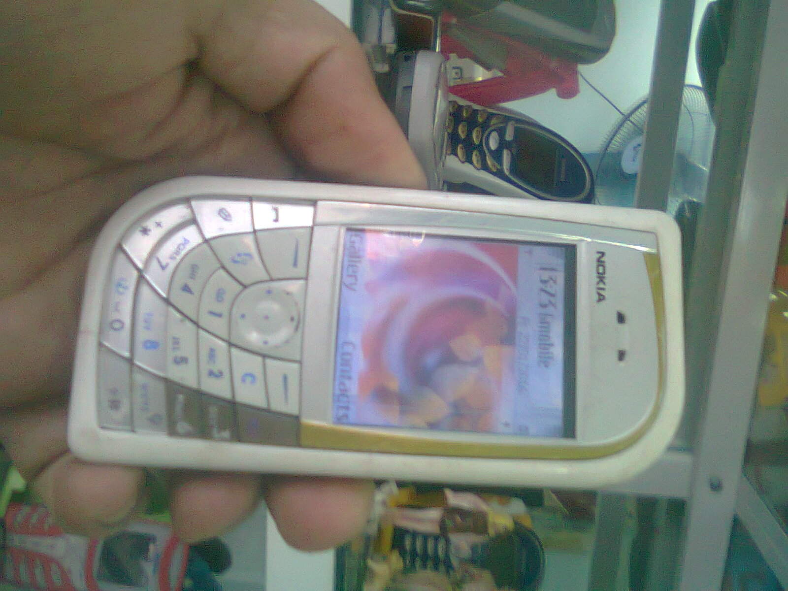 Hình5997.jpg