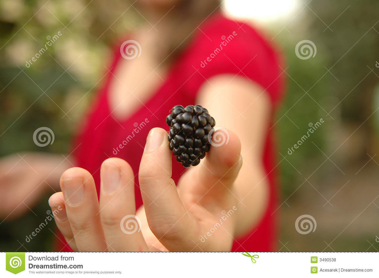 girl-holding-blackberry-3490538.jpg
