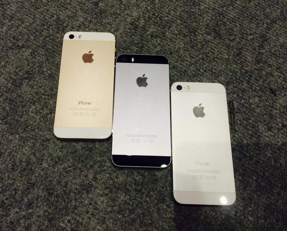 12645138_992967594106525_8763029324617870346_n.jpg