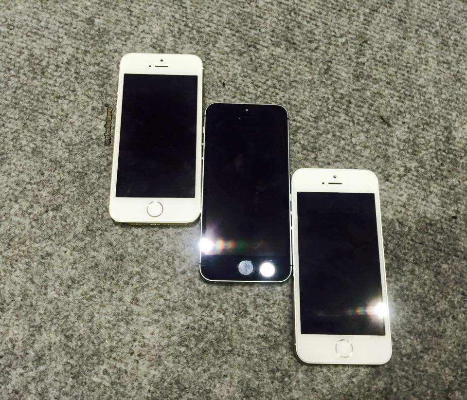 12647208_992967610773190_1392020939467564970_n.jpg