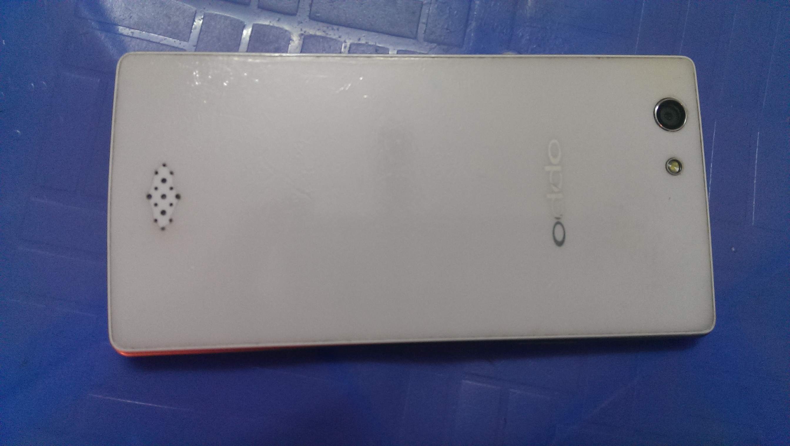 IMAG2091.jpg