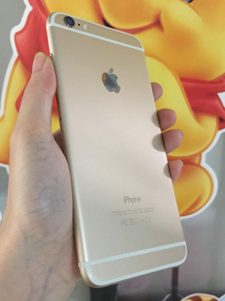 iP6p g 01 (4).JPG